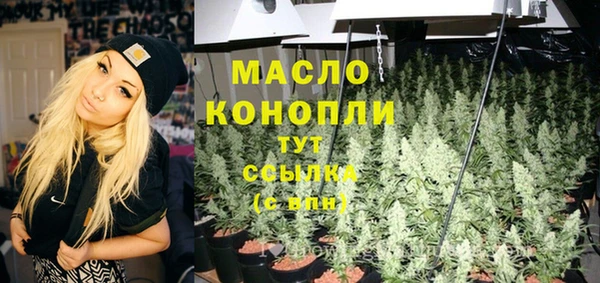 гидра Верея