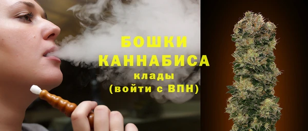 винт Бородино