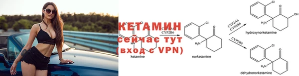 гидра Верея