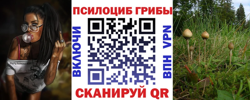 Псилоцибиновые грибы GOLDEN TEACHER  закладка  Новохопёрск 
